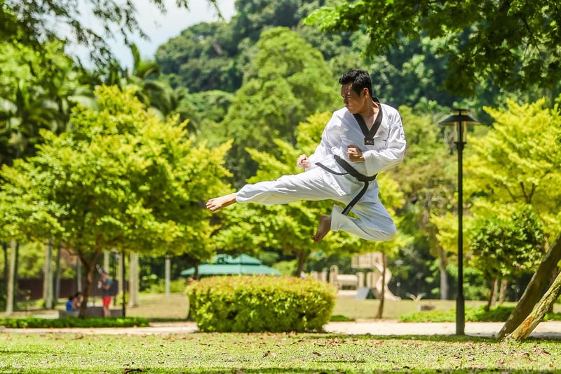 Taekwondo kick